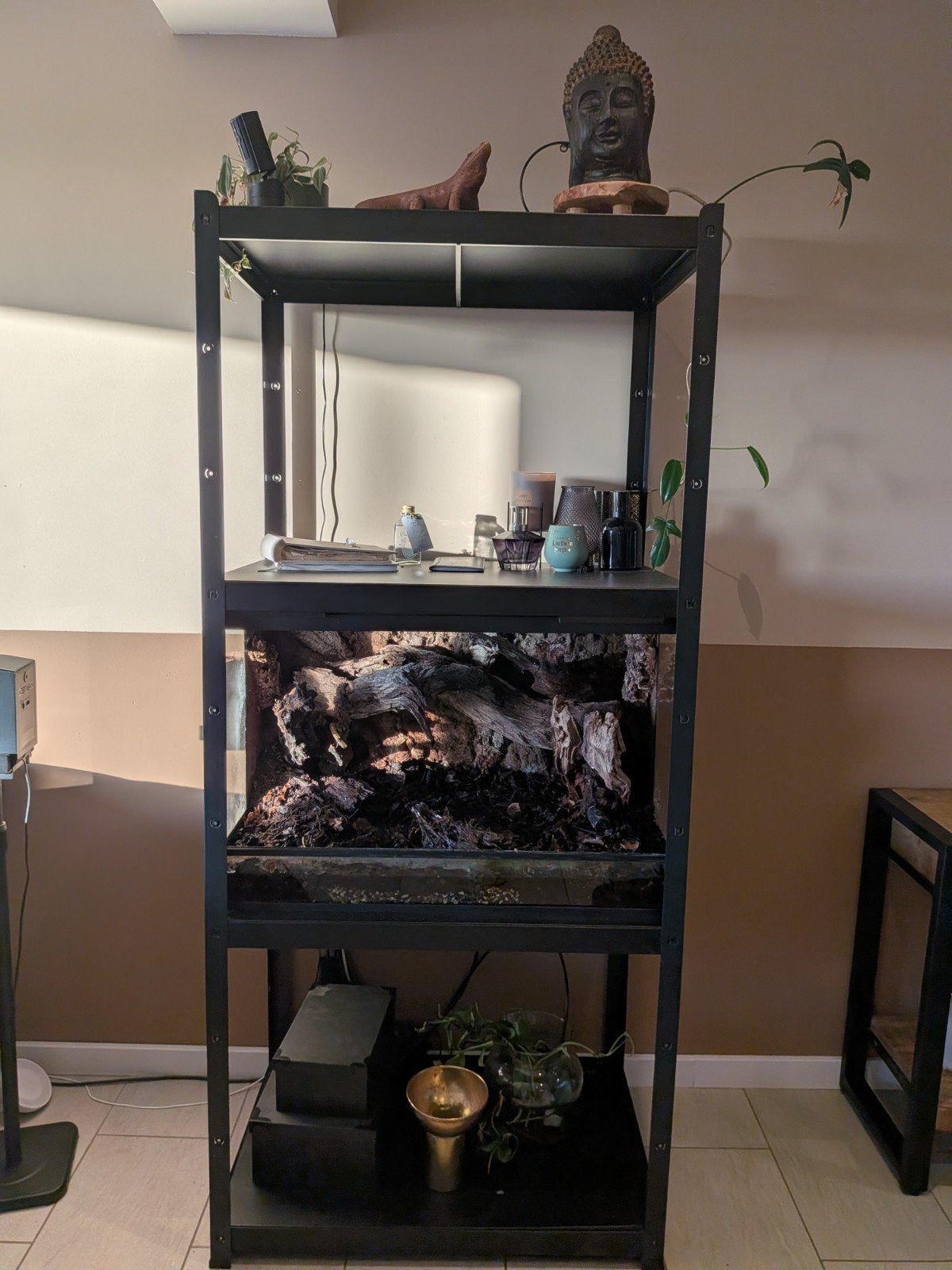 Stelling met bak- terrarium, Ophalen