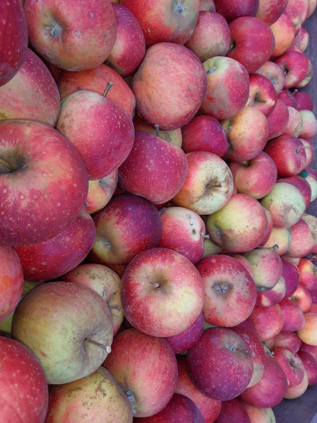 appels, Diversen, Ophalen