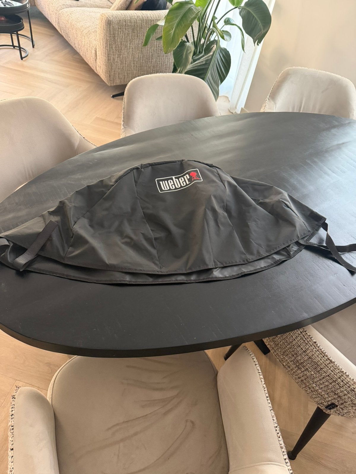 Weber pulse. Hoes, Tuin en Terras, Ophalen of Verzenden, Zo goed als nieuw