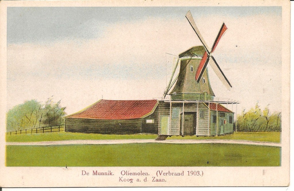 Oliemolen De Munnik Koog a.d. Zaan (Verbrand 1903), Ophalen of Verzenden, Voor 1920, Gelopen, Noord-Holland