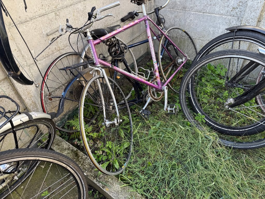onderdeelof fietsen, Fietsen en Brommers, Elektrische fietsen, Ophalen of Verzenden, Overige merken