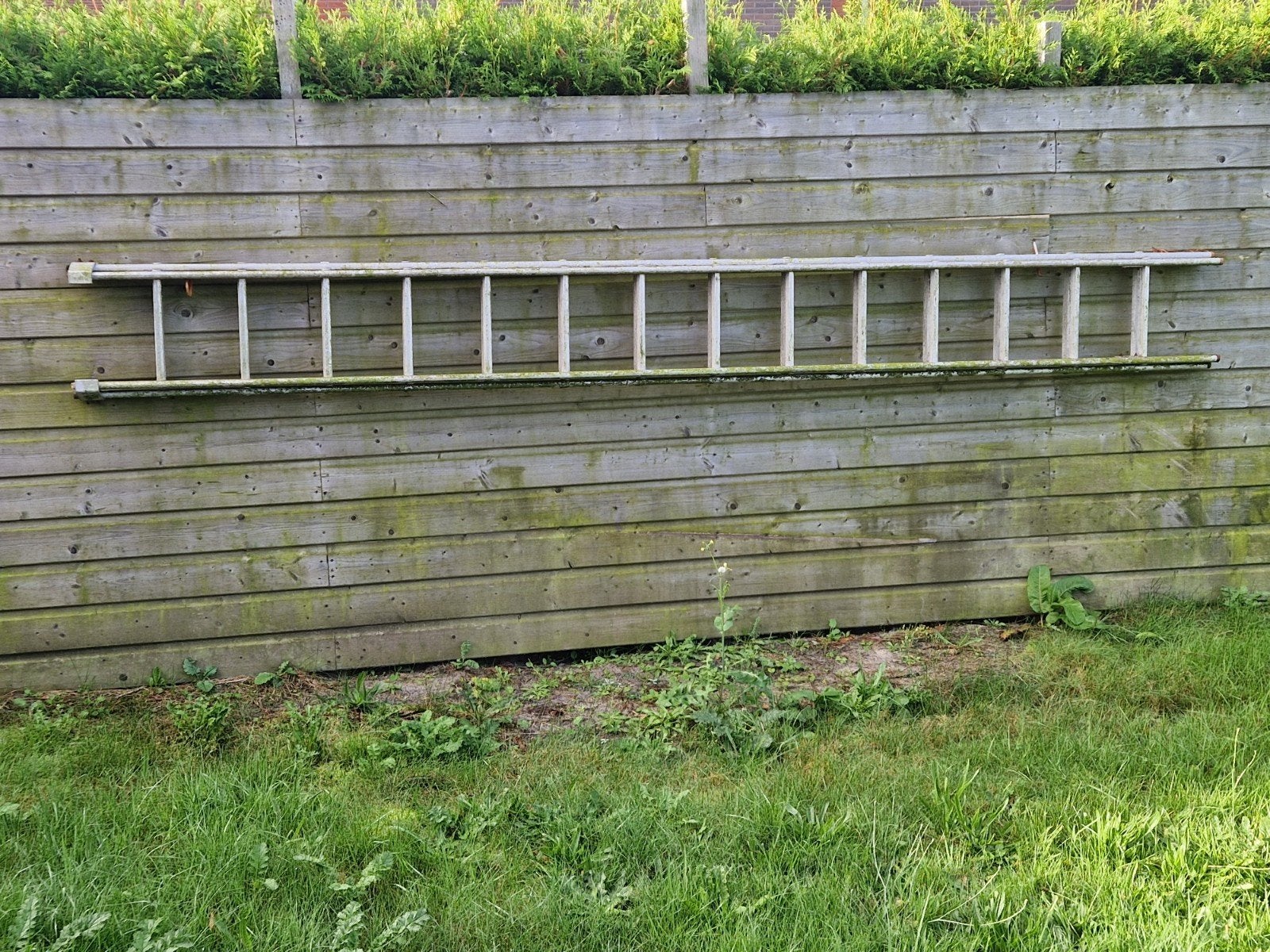 Gebruikte ladder - Lange aluminium ladder, Doe-het-zelf en Verbouw, Ophalen, Gebruikt, Ladder, 4 meter of meer