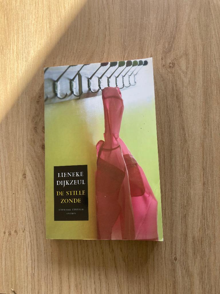 Boek Lieneke Dijkzeul, Ophalen of Verzenden, Zo goed als nieuw