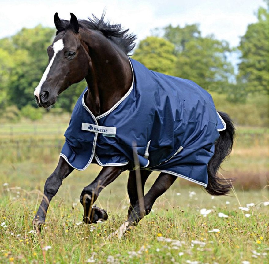 NIEUW Regendeken Bucas maat 130/175, Dieren en Toebehoren, Paarden en Pony's | Dekens en Dekjes, Bucas, Cob (M), Nieuw, Ophalen of Verzenden
