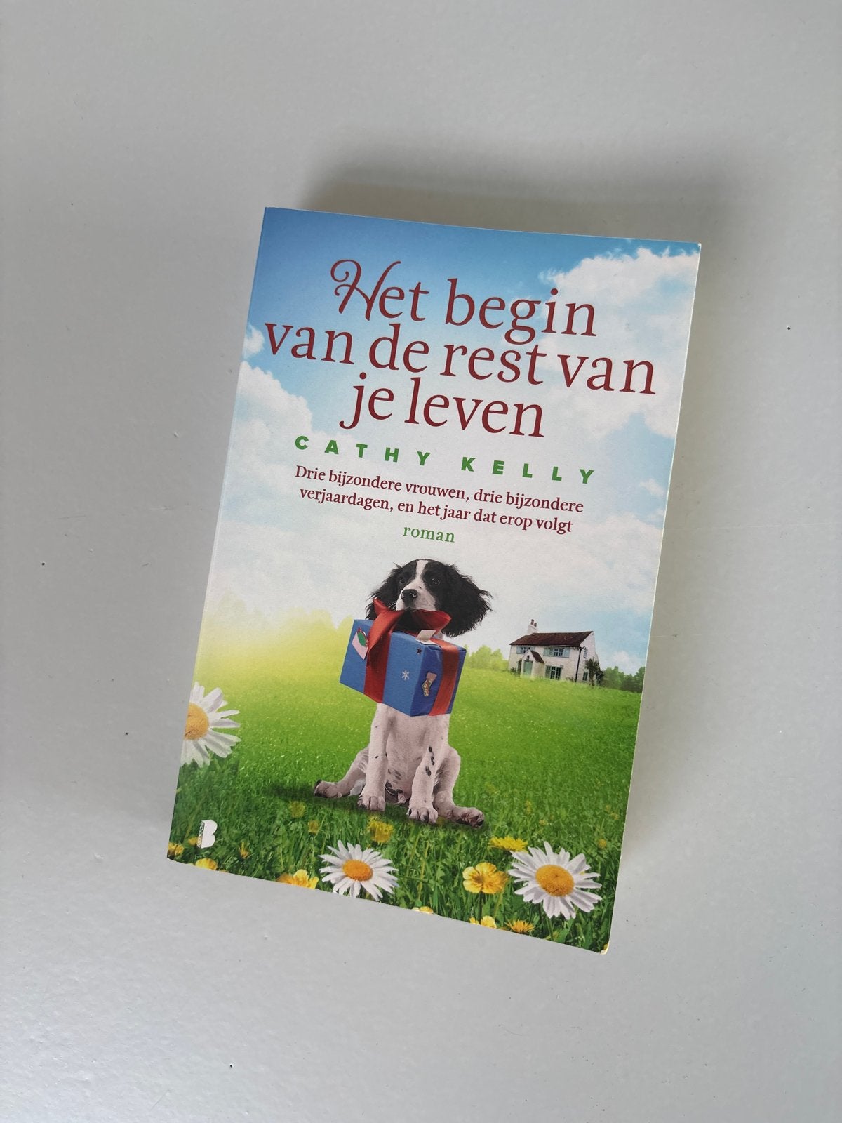 Het begin van de rest van je leven - Cathy Kelly, Ophalen of Verzenden, Gelezen, Europa overig