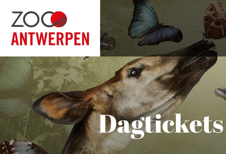 ZOO Antwerp kaartje, Tickets en Kaartjes, Twee personen, Ticket of Toegangskaart
