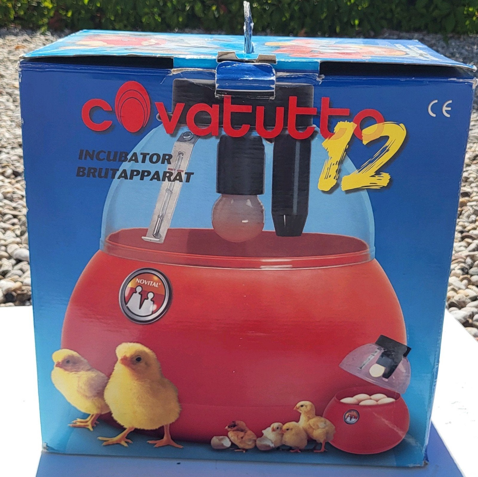 Novital Covatutto 12 broedmachine / incubator eieren, Ophalen of Verzenden, Broedmachine