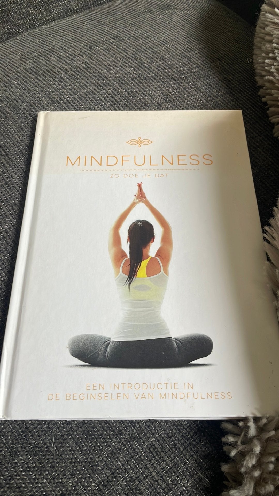 Mindfulness zo doe je dat, Boeken, Esoterie en Spiritualiteit, Ophalen of Verzenden, Zo goed als nieuw, Meditatie of Yoga, Instructieboek