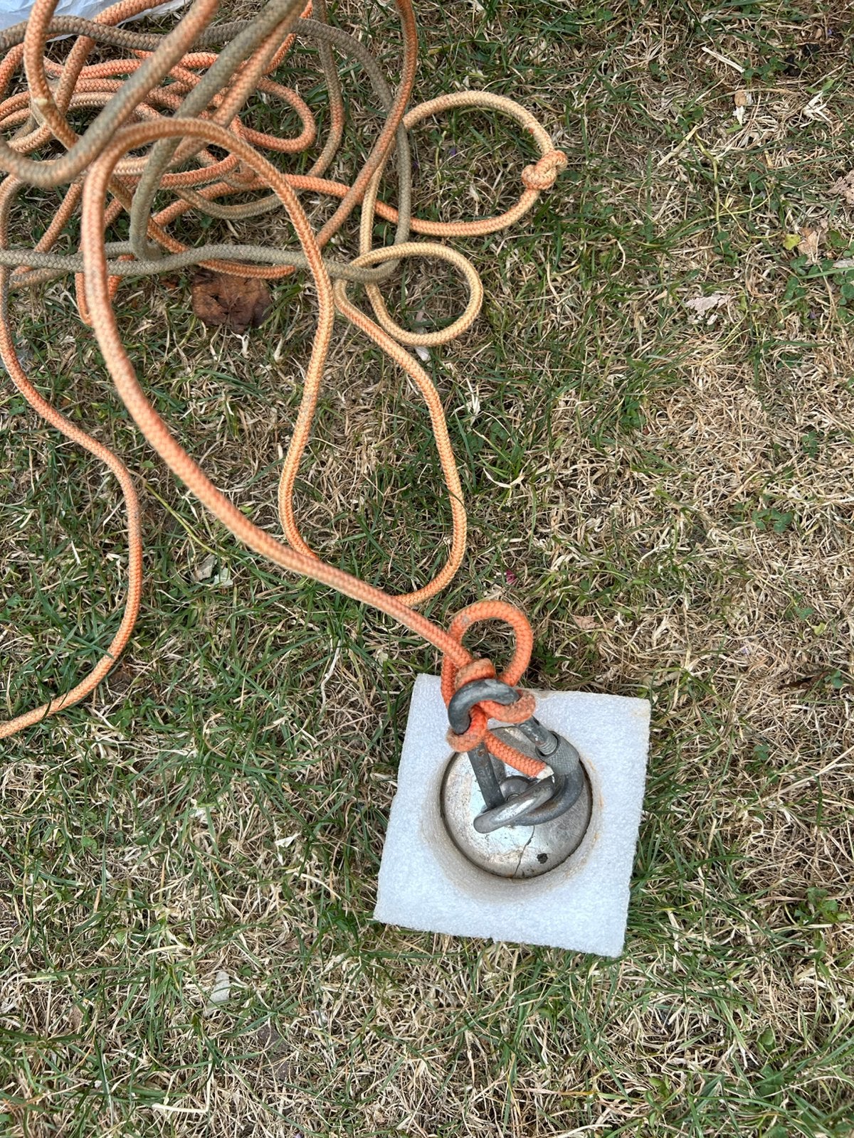 Magneetvis magneet, Ophalen of Verzenden, Gebruikt