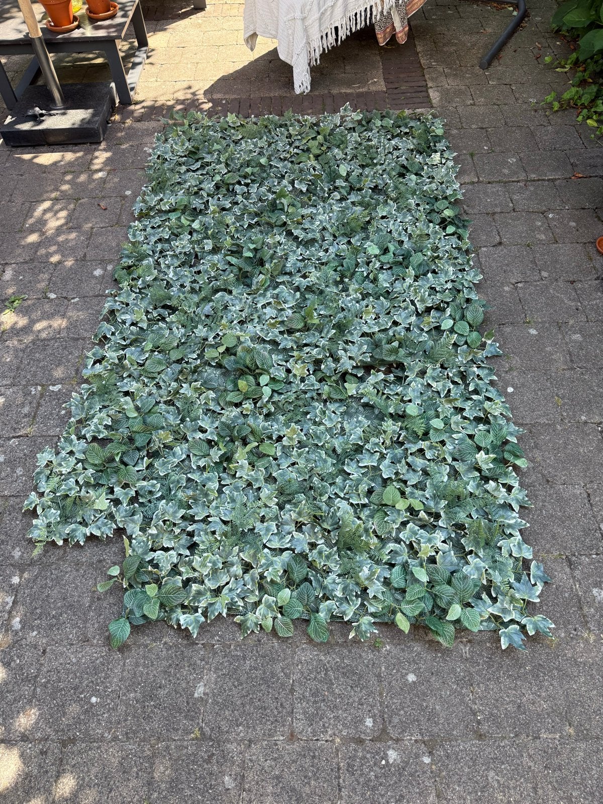 Kunsthaag Hedera (Klimop) - Decoratieve Tuinafscheiding, Ophalen, Gebruikt