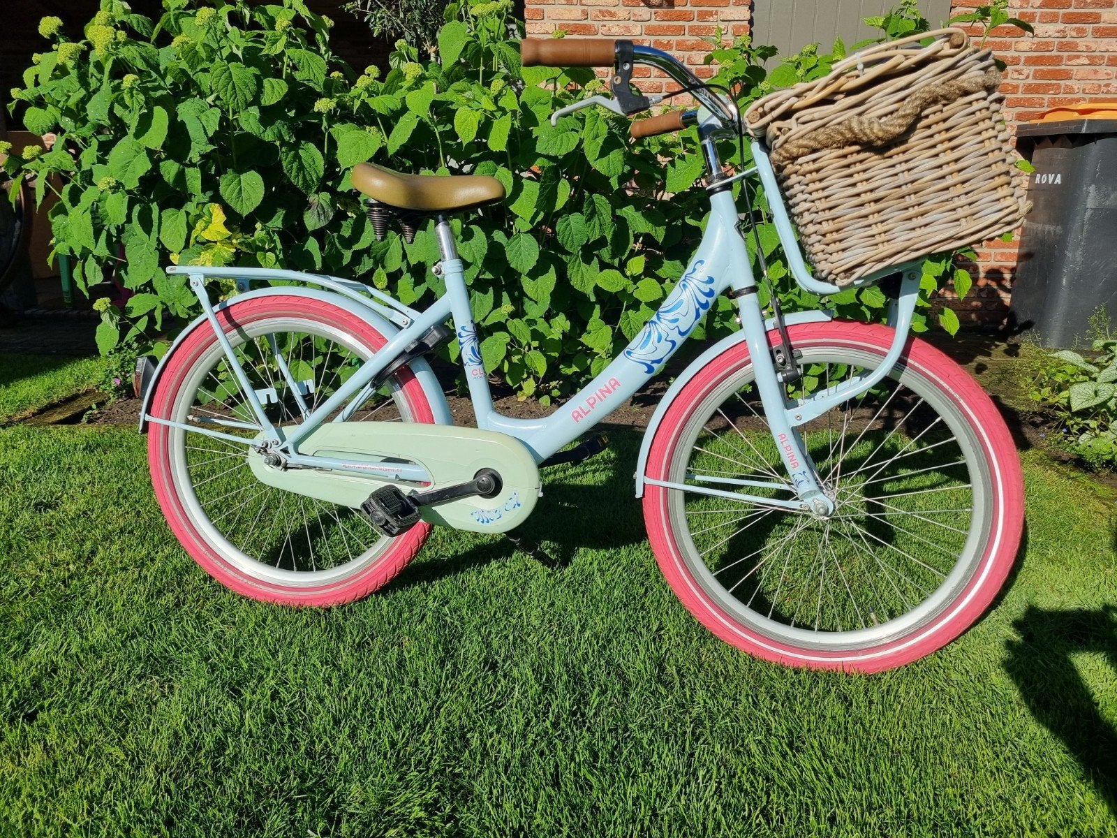 Alpina Clubb meisjesfiets 22 inch met mand, Fietsen en Brommers, Ophalen, Alpina, Zo goed als nieuw, Terugtraprem