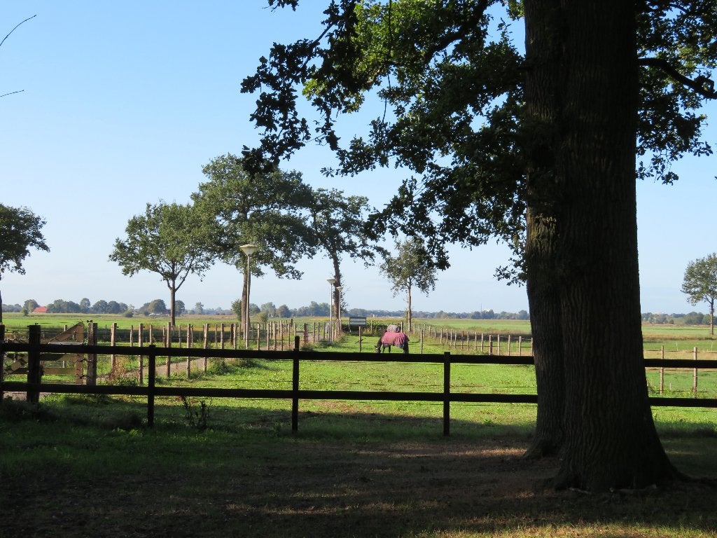 pensionstalling, Dieren en Toebehoren, Stalling en Weidegang, Stalling, 2 of 3 paarden of pony's