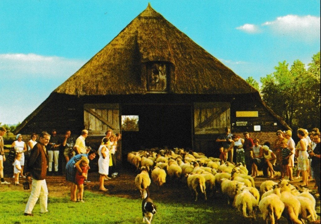 Drouwen        779, Ophalen of Verzenden, Voor 1920