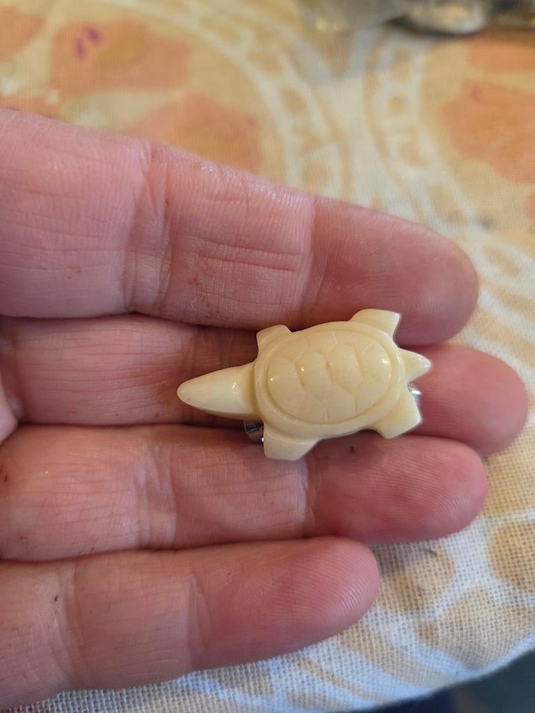 Vintage Schildpad Broche - Crèmekleurig, Sieraden, Tassen en Uiterlijk, Broches, Overige materialen, 4 tot 7 cm, Beige, Ophalen of Verzenden