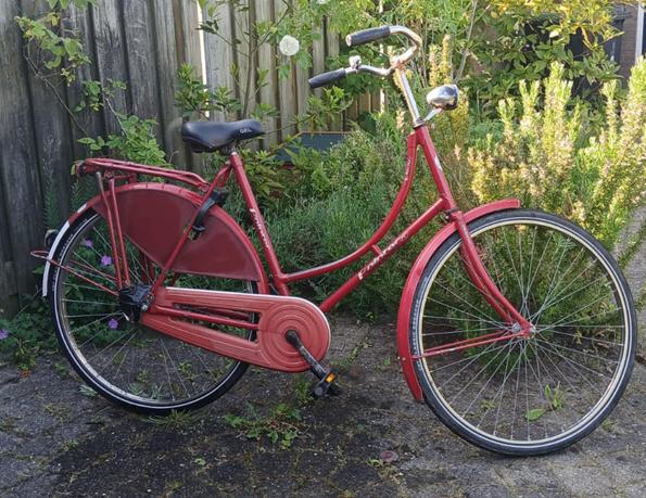 Pointer Glorie RVS Omafiets rood, Fietsen en Brommers, Ophalen, Terugtraprem, Versnellingen, 56 cm of meer