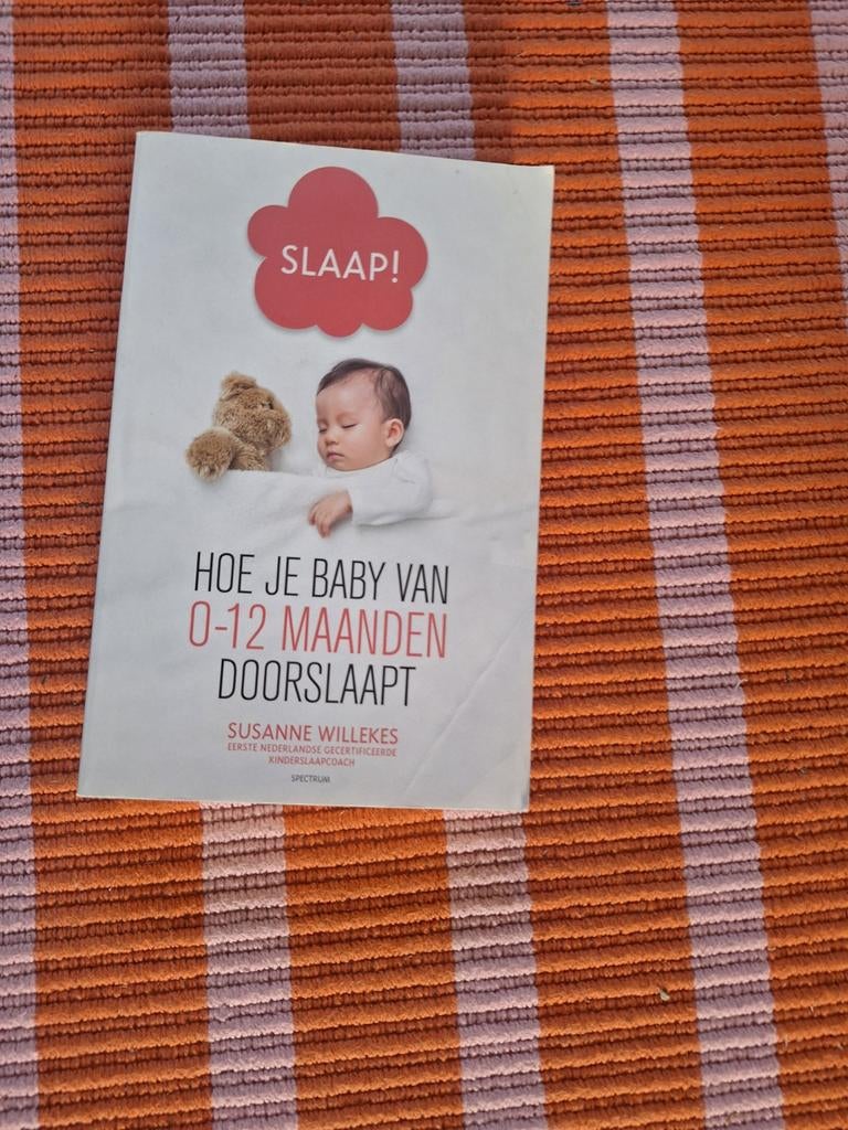 Slaap! Hoe je baby van 0-12 maanden doorslaapt, Ophalen of Verzenden, Zo goed als nieuw, Opvoeding tot 6 jaar, Susanne Willekes