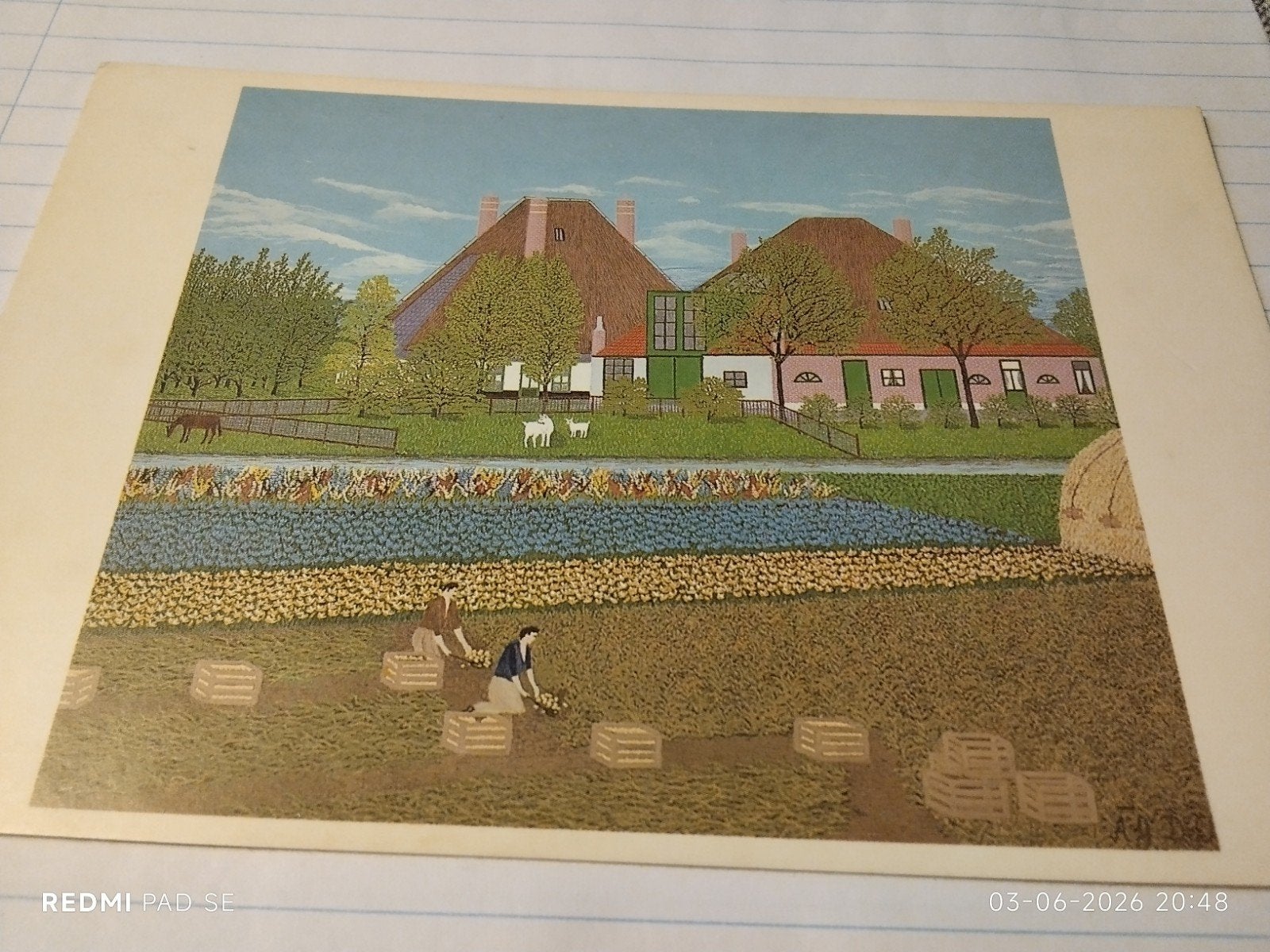 AKO Naïeve Schilderkunst nr. 43 - Aardappel Rooien, Ophalen of Verzenden, 1980 tot heden, Noord-Holland