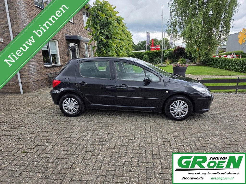 Peugeot 307 1.6-16V XS airco cruise, Auto's, Peugeot, Voorwielaandrijving, Gebruikt, 4 cilinders, 635 kg
