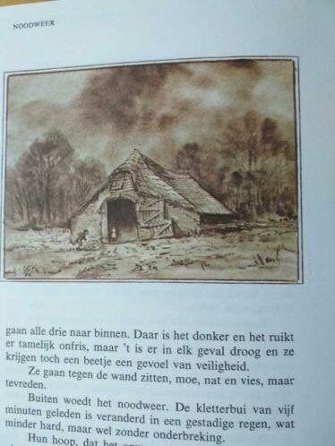 Het Gouden Sieraad - Piet Prins, Ophalen of Verzenden