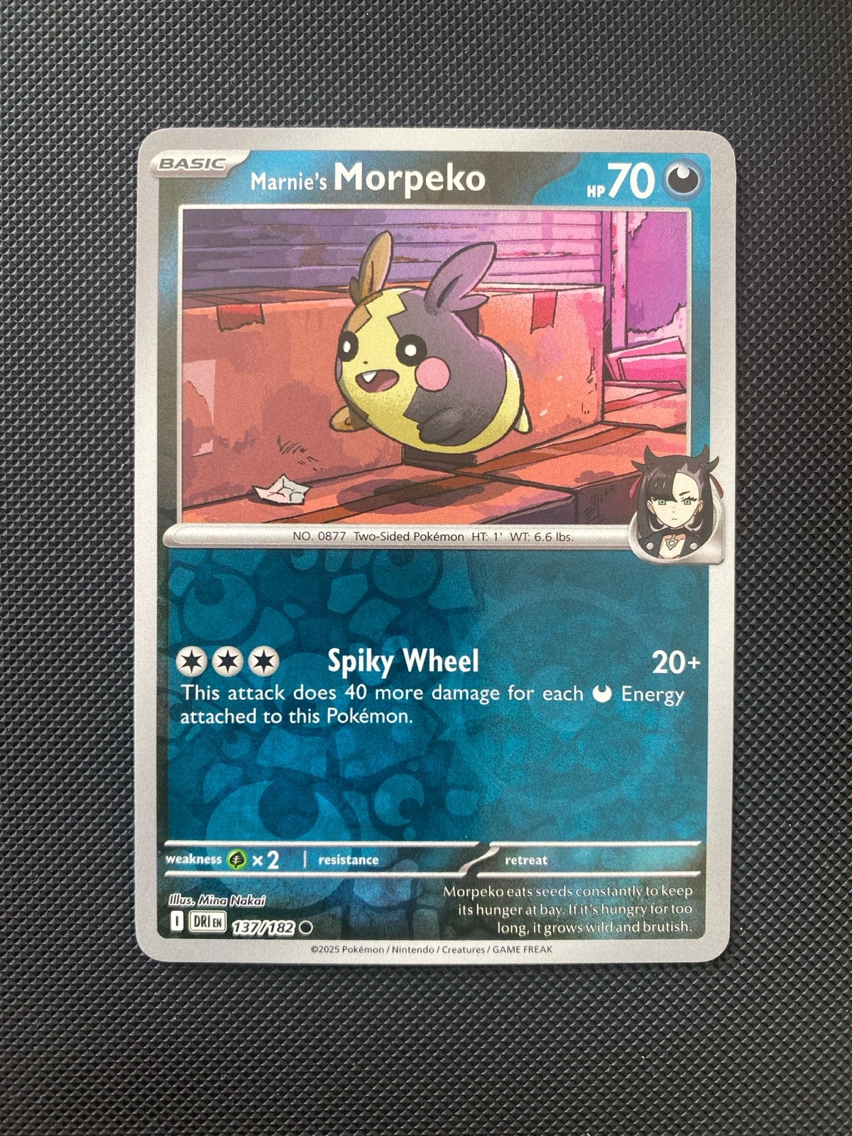 Marnie's Morpeko 137/182 Reverse Holo Destined Rivals, Ophalen of Verzenden, Zo goed als nieuw, Losse kaart, Foil