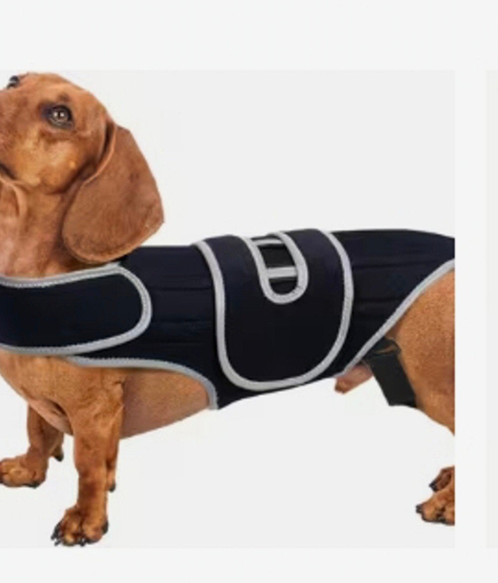 Nieuwe honden corset te koop., Dieren en Toebehoren, Overige merken, Ophalen of Verzenden, Nieuw, Overige typen