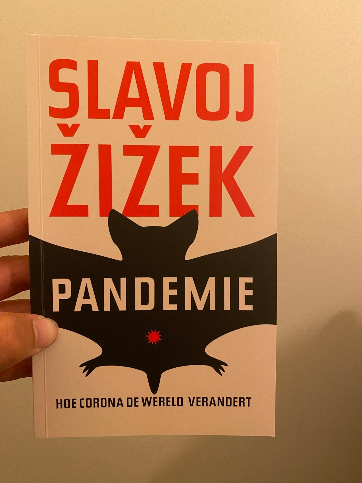 Het Denkbeest uit Ljubljana op zijn Best - Slavoj Žižek, Boeken, Ophalen of Verzenden, Zo goed als nieuw, Europa overig