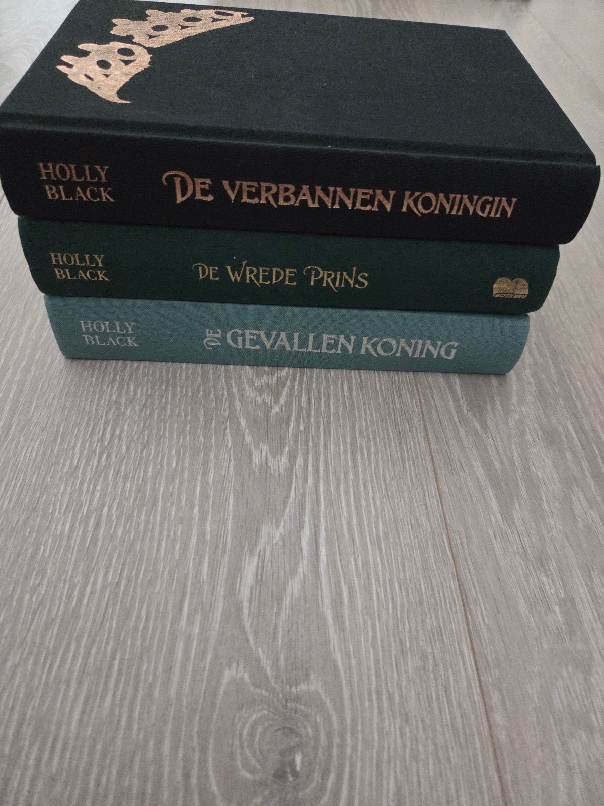 Elfhame trilogie - Holly Black hardcover, Boeken, Ophalen of Verzenden, Gelezen