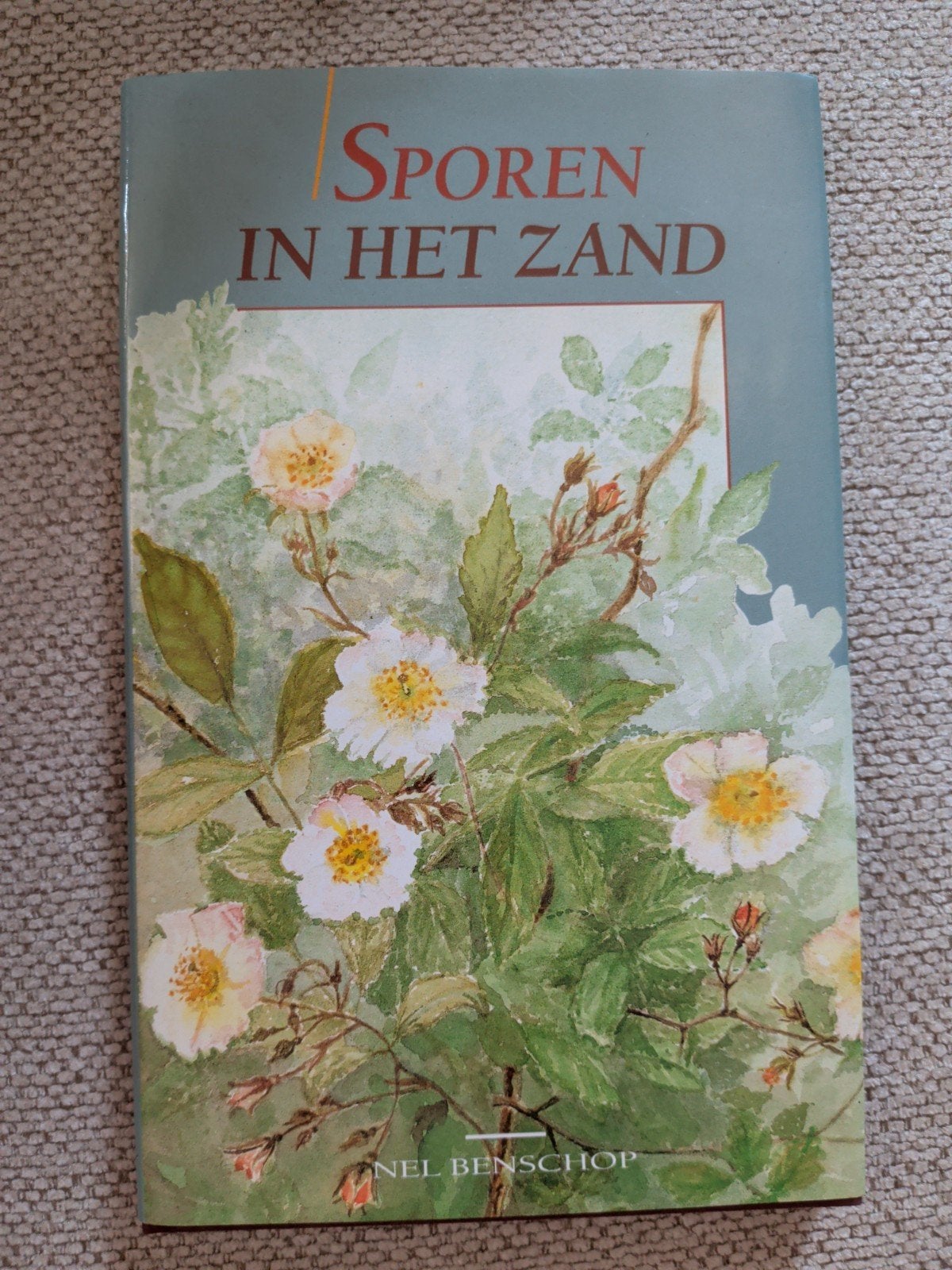 Sporen in het Zand - Net Benschop (Nieuw), Ophalen of Verzenden, Nieuw, Nel Benschop, Nederland