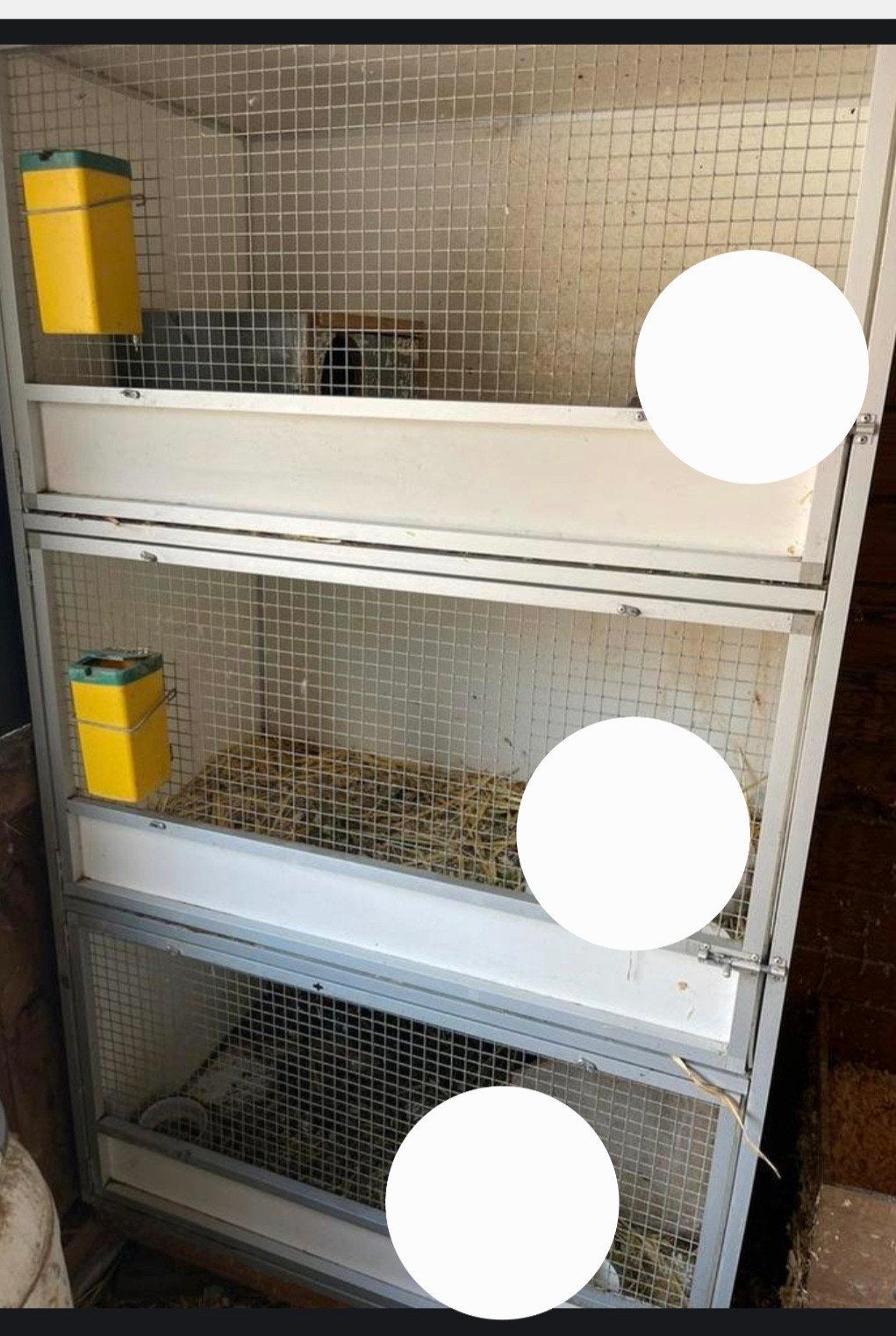 gezocht konijnenflat caviaflat, Ophalen of Verzenden, 110 cm of meer, Cavia, Minder dan 60 cm