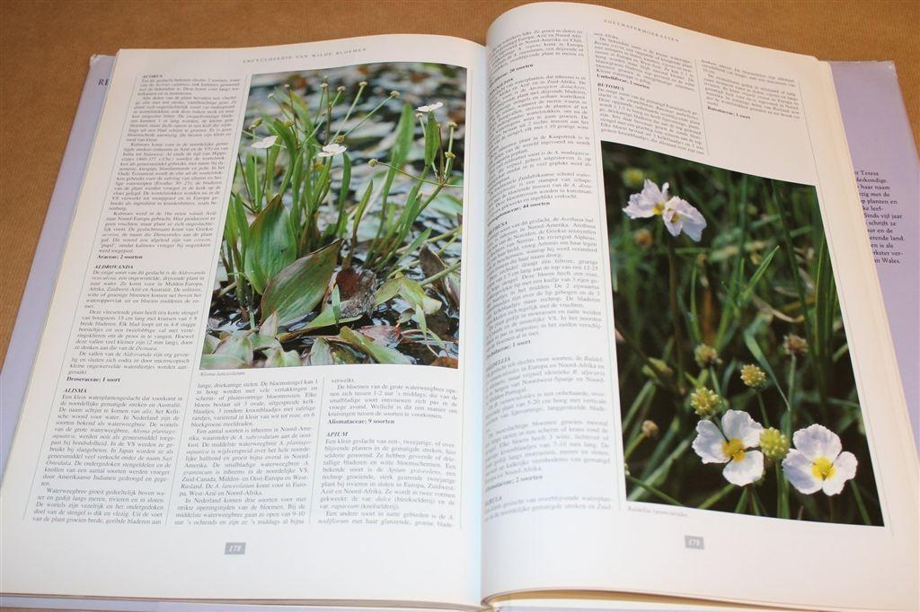 Wilde Bloemen — Rebo Foto-encyclopedie, Ophalen of Verzenden, Gelezen, Bloemen, Planten en Bomen