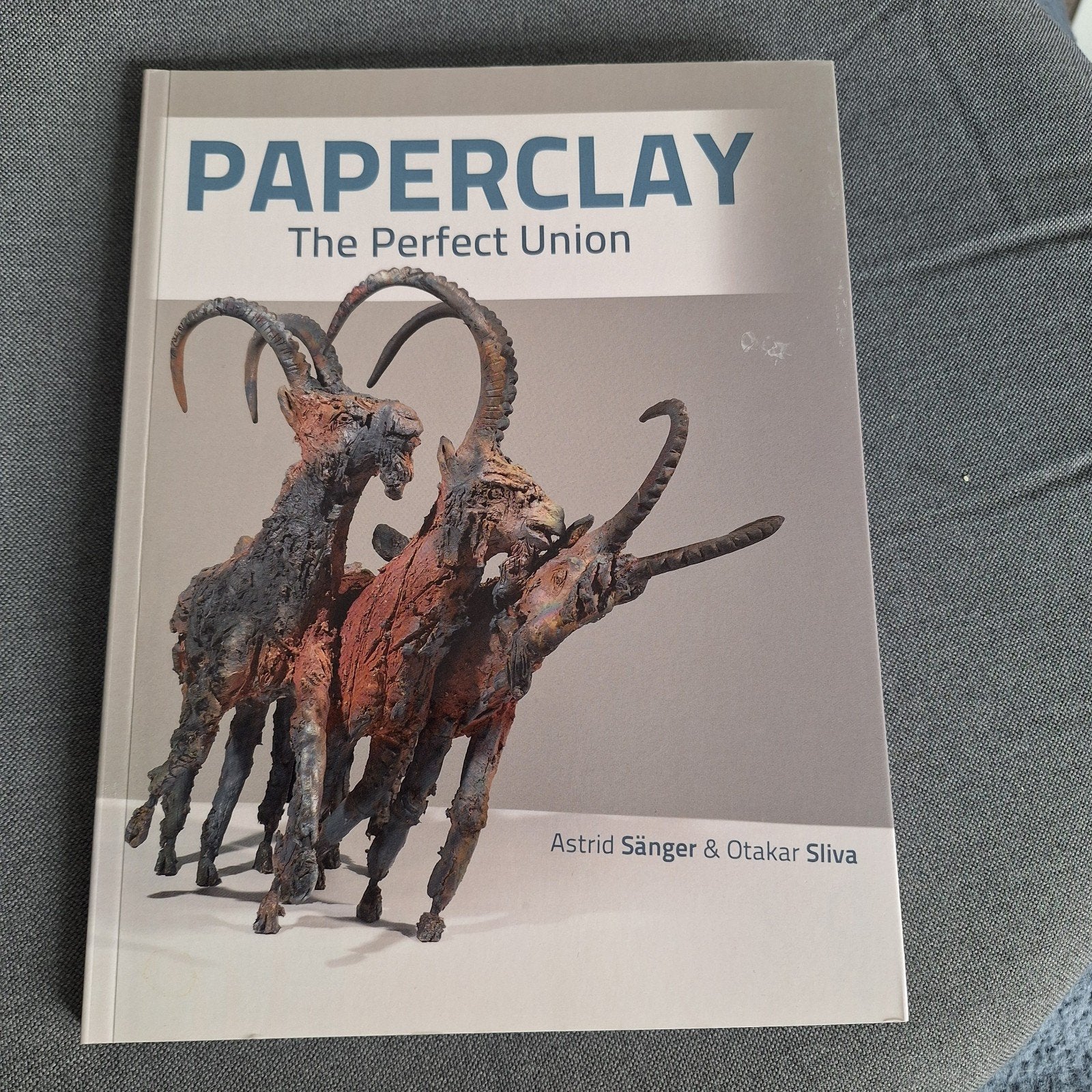 paperclay Otakar Sliva, Otakar Sliva, Ophalen of Verzenden, Zo goed als nieuw, Kleien en Boetseren