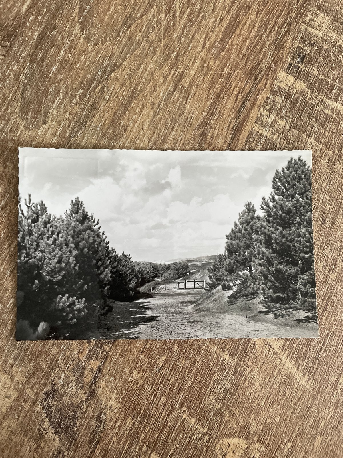 Oude ansichtkaart Burgh-Haamstede-Westenschouwen, Ophalen of Verzenden, 1940 tot 1960, Gelopen, Zeeland