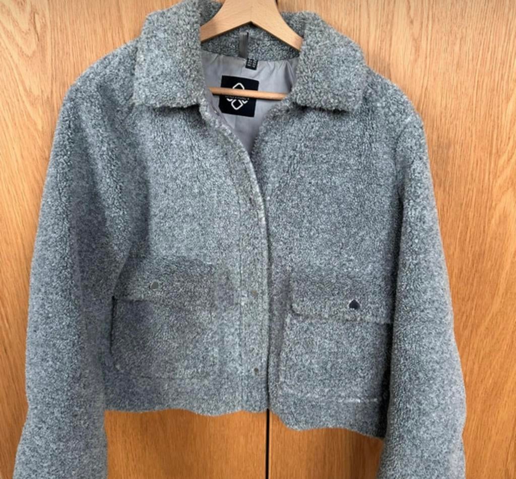 Teddy jas, Kleding | Dames, Jassen | Winter, Ophalen of Verzenden, Zo goed als nieuw, Maat 38/40 (M), Grijs