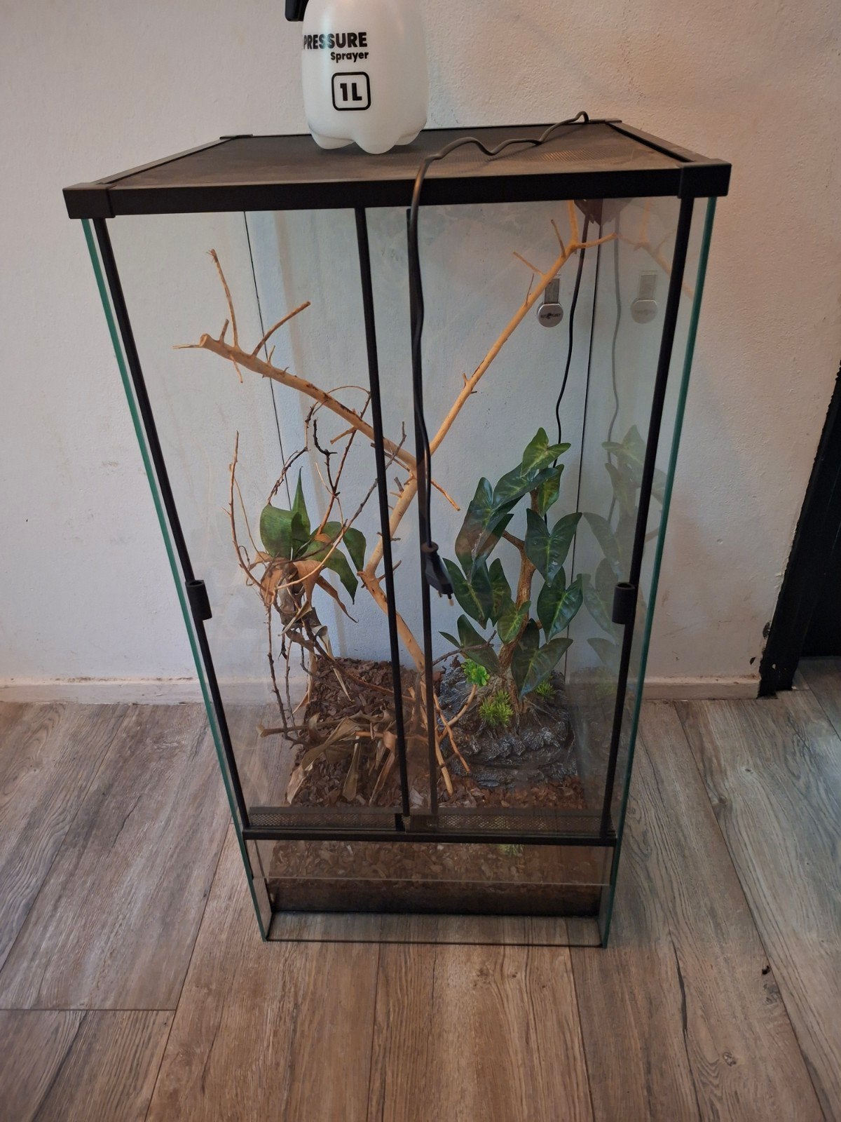 Terrarium met lampen, Ophalen