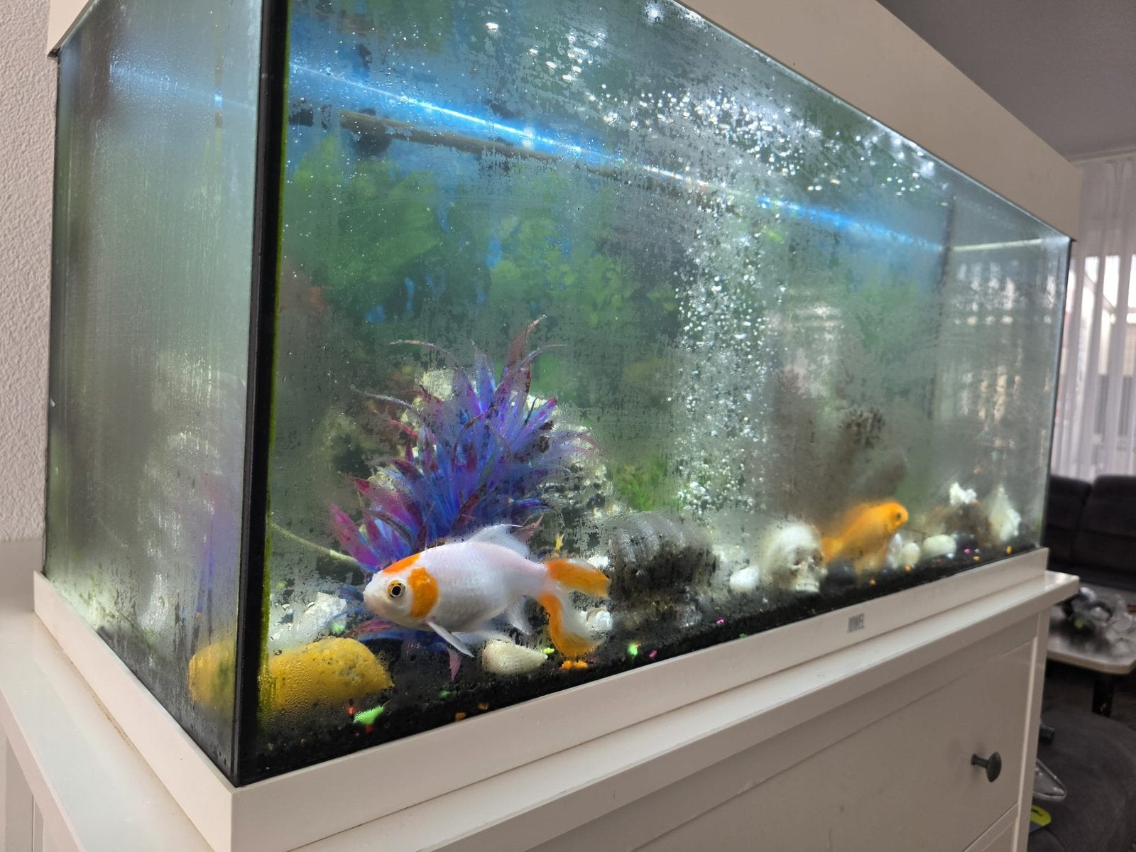 Aquarium en kast, Dieren en Toebehoren, Vissen | Aquaria en Toebehoren, Ophalen, Aquariummeubel, Overige merken, Zo goed als nieuw