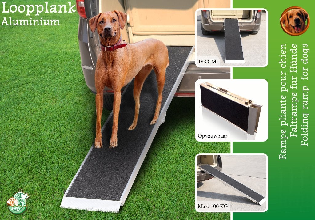 Boon loopplank aluminium anti-slip 183 cm, maximaal 100 kg., Dieren en Toebehoren, Ophalen, Overige merken, Nieuw, Boon