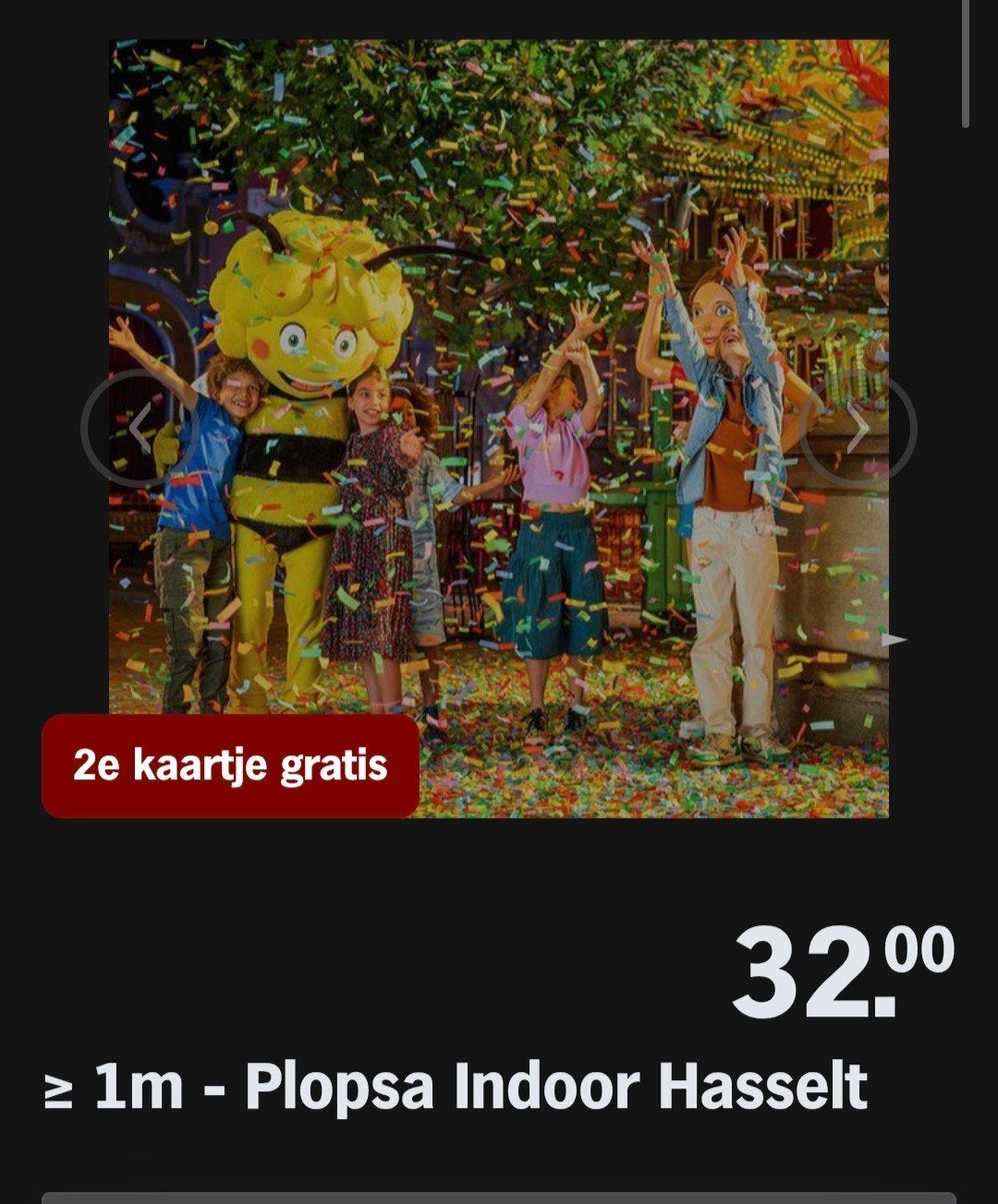 PLOPSA INDOOR HASSELT ♡ 2e kaartje gratis (AH actie), Overige typen