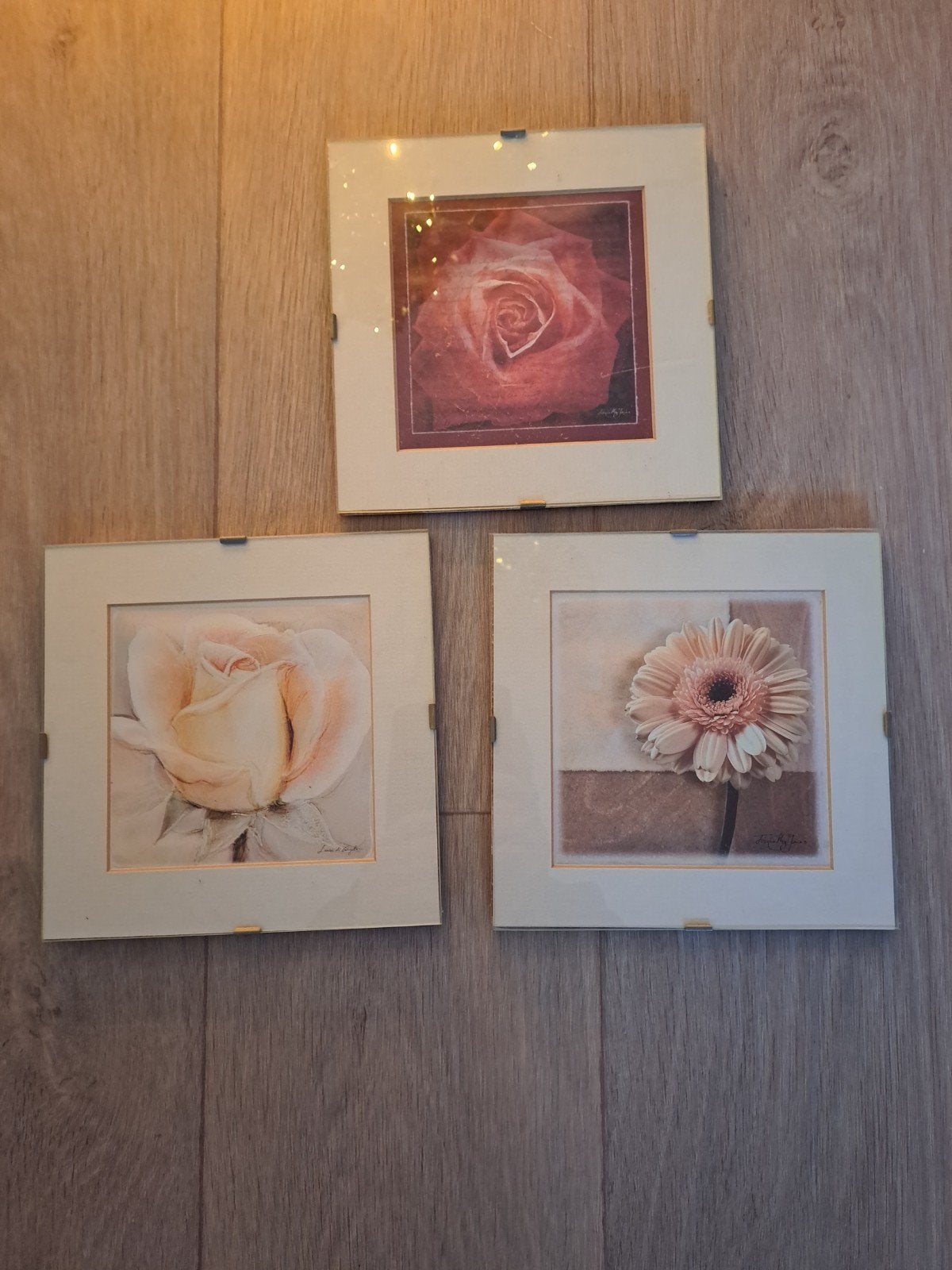 3 Verschillende bloemen schilderijen 20x20 NIEUW NIEUW, Bruin, Clicklijst, 20 cm, Nieuw