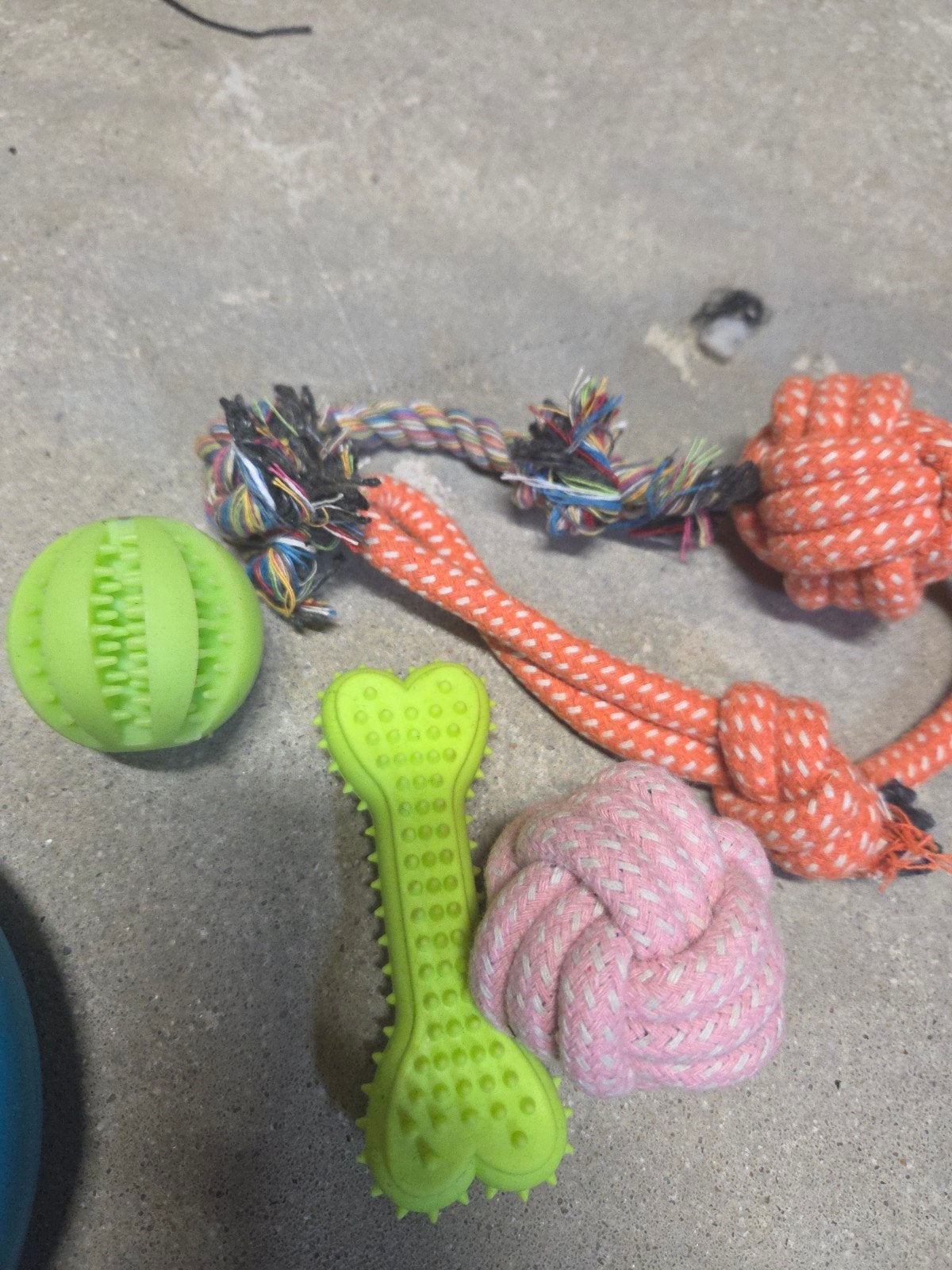 Puppy pakket nieuw, Ophalen of Verzenden, Nieuw