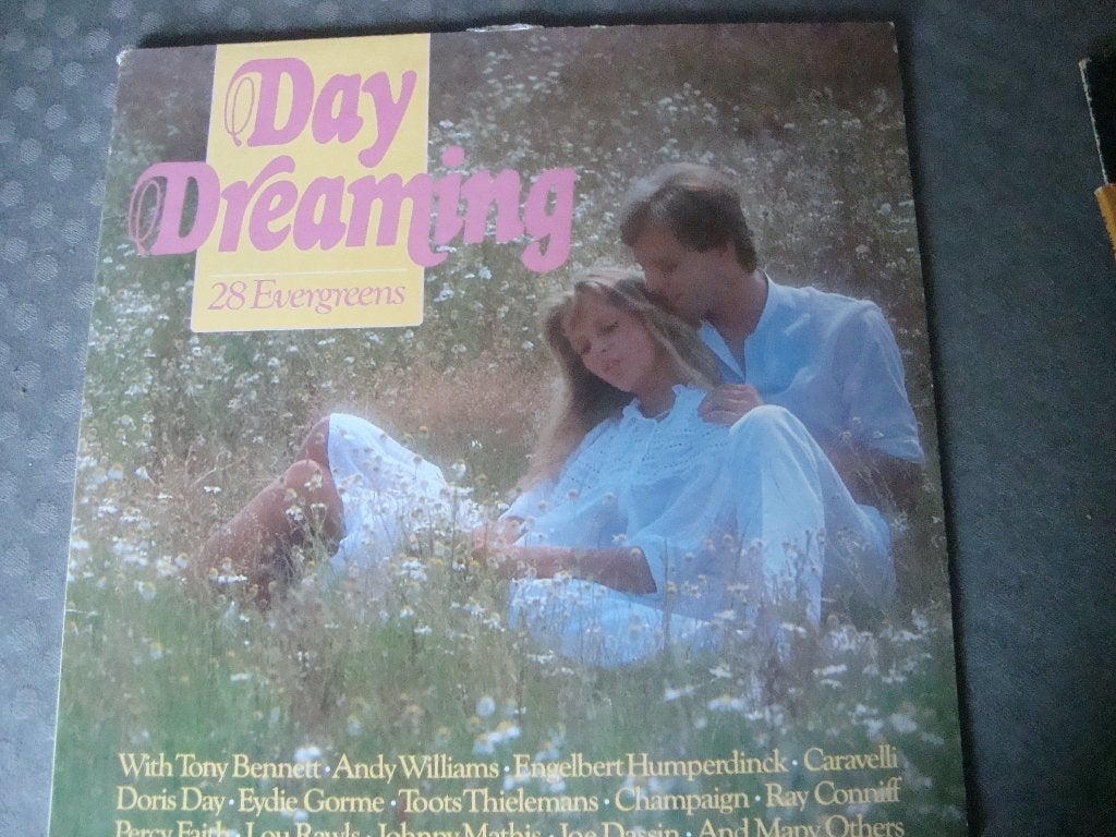 Day dreaming 28 evergreens, Ophalen of Verzenden, Zo goed als nieuw, 12 inch