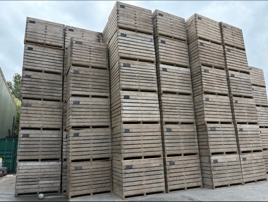 Aardappel kisten circa 400 stuks, Doe-het-zelf en Verbouw, Ophalen, Gebruikt, 100 cm of meer, 60 cm of meer