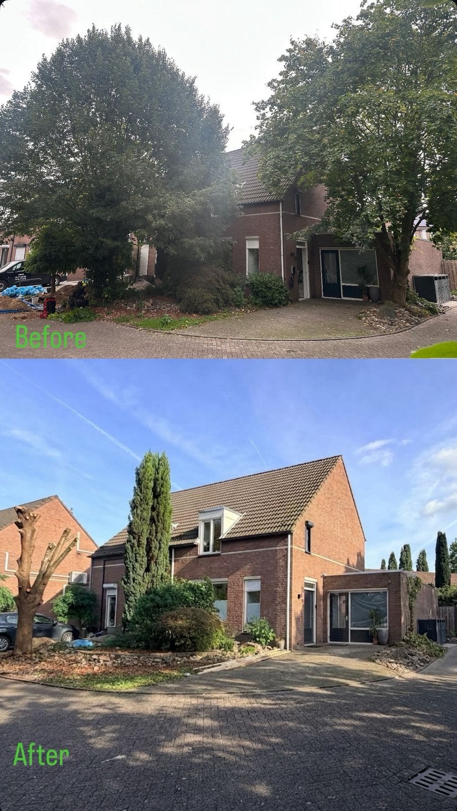 Boomverzorger in Limburg, Ophalen