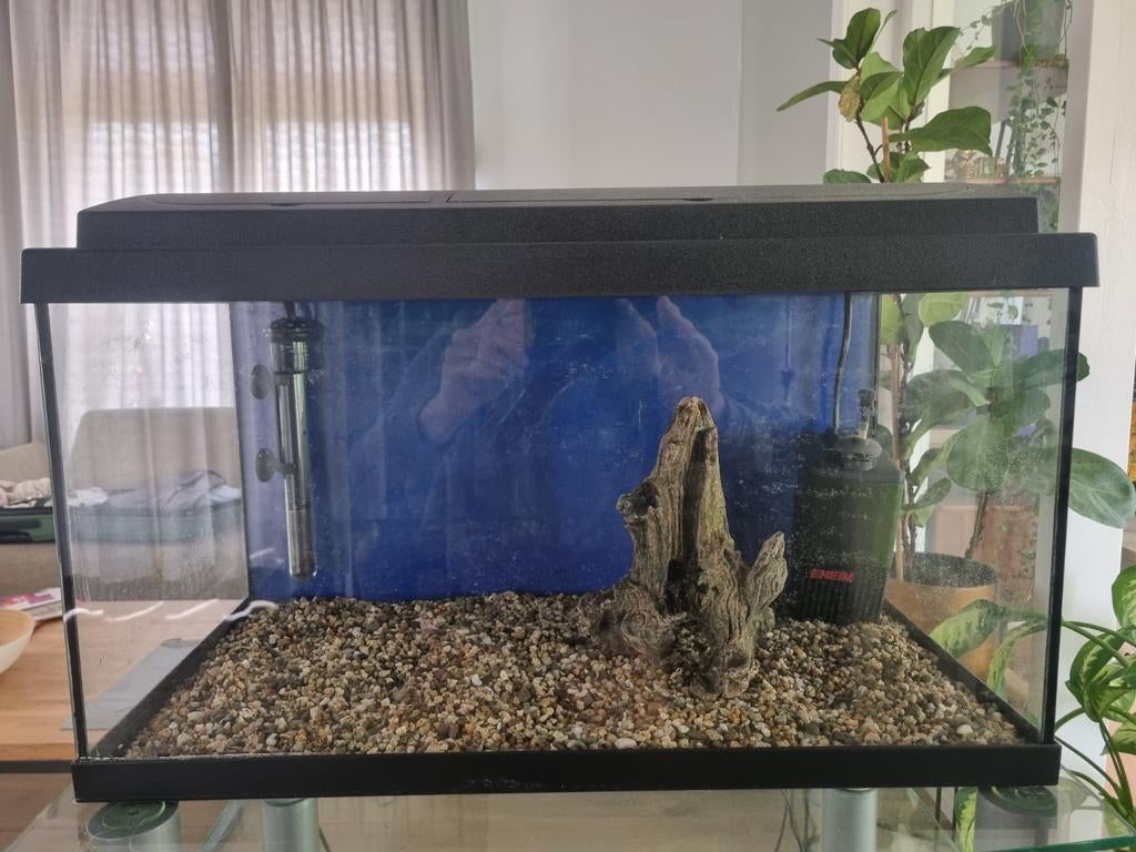 Aquarium met toebehoren, Ophalen, Zo goed als nieuw, Leeg aquarium