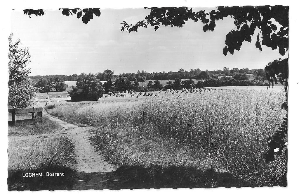 AK Lochem - Bosrand, Verzenden, 1960 tot 1980, Ongelopen, Gelderland