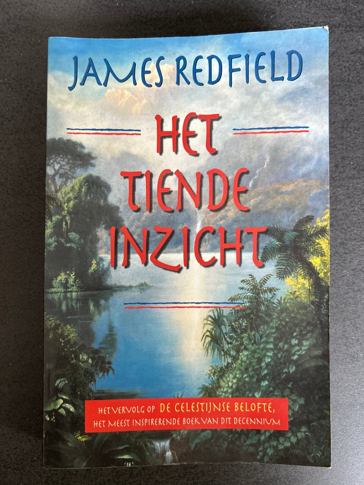 Het Tiende Inzicht - James Redfield (Boek), Ophalen of Verzenden, Gelezen, Nederland