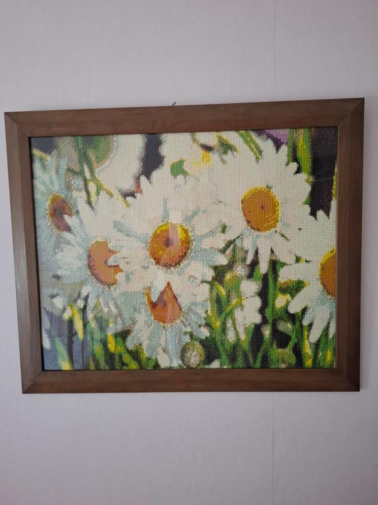 Daimond painting schilderij 48/58, Ophalen of Verzenden