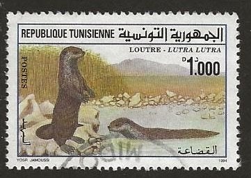 Tunesie 39, otter, Verzenden, Tunesië, Gestempeld