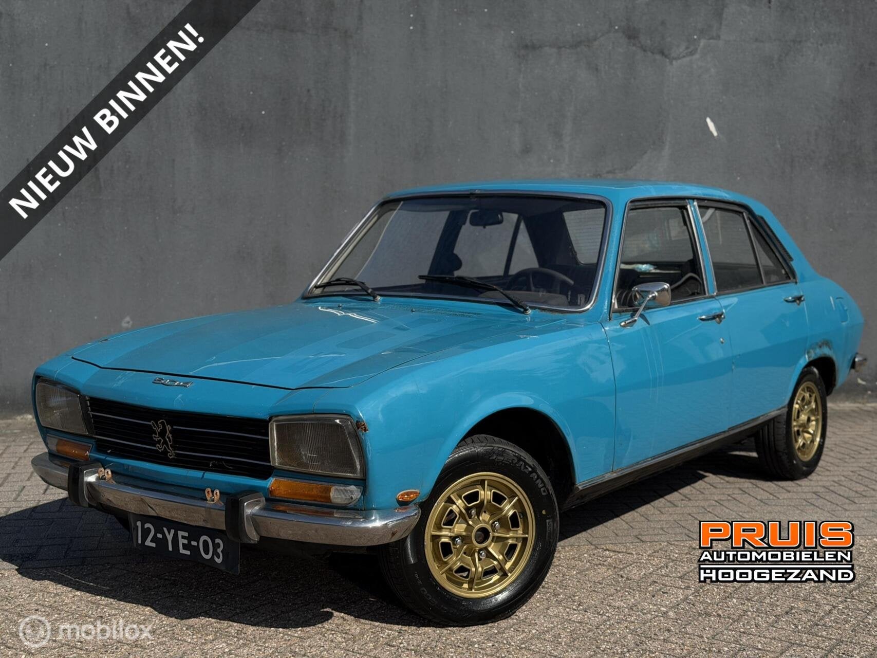 Peugeot 504 2.0 GL 1974 -LPG- (APK-VRIJ) *INRUIL MOGELIJK*, Auto's, Achterwielaandrijving, 1971 cc, Blauw, Bedrijf