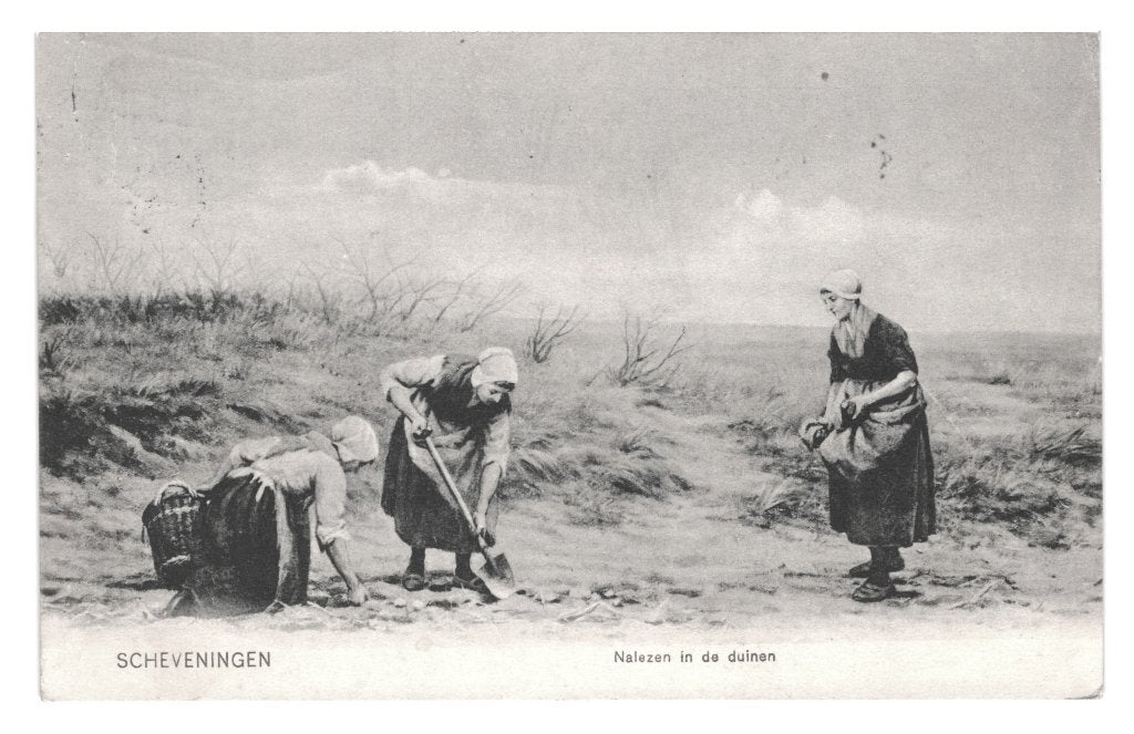 984337	Scheveningen	Nalezen in de Duinen	1911 ZH	Gelopen