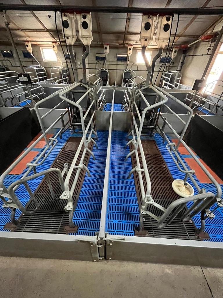 Kraamhokken [264], Dieren en Toebehoren, Boekhorst Trading, Info@boekhorst.com, Singel 16